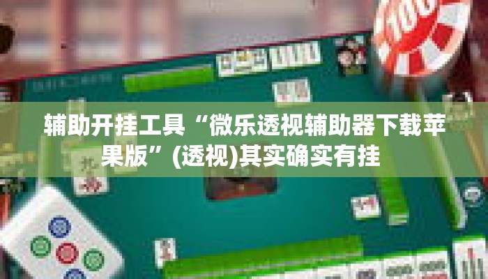 辅助开挂工具“微乐透视辅助器下载苹果版”(透视)其实确实有挂 
