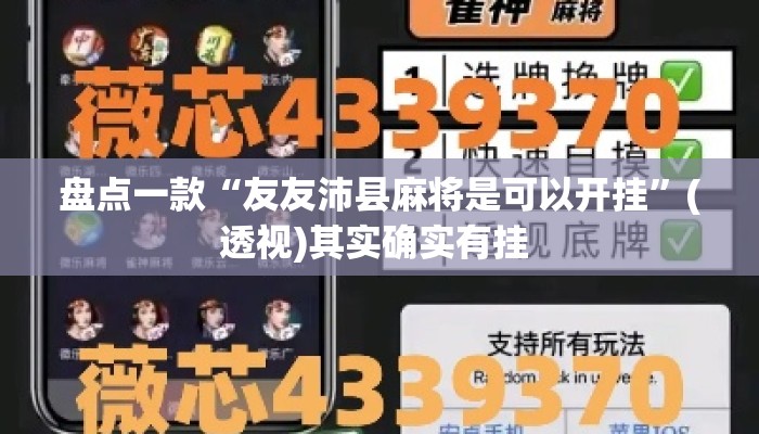 盘点一款“友友沛县麻将是可以开挂”(透视)其实确实有挂 