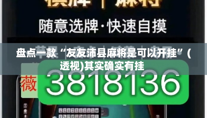 盘点一款“友友沛县麻将是可以开挂”(透视)其实确实有挂 