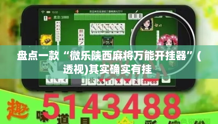 盘点一款“微乐陕西麻将万能开挂器”(透视)其实确实有挂 