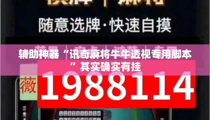 辅助神器“讯奇麻将牛牛透视专用脚本”其实确实有挂
