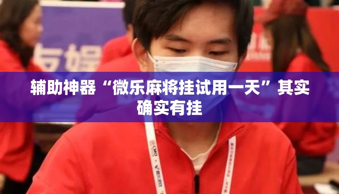 辅助神器“微乐麻将挂试用一天	”其实确实有挂