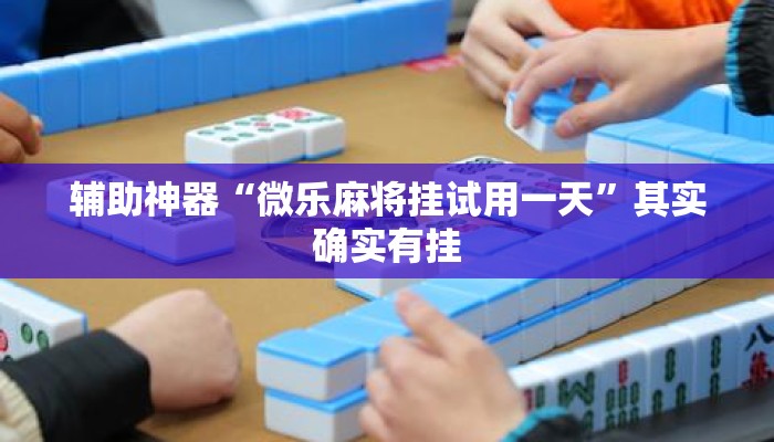 辅助神器“微乐麻将挂试用一天”其实确实有挂