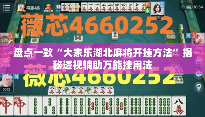 盘点一款“大家乐湖北麻将开挂方法	”揭秘透视辅助万能挂用法