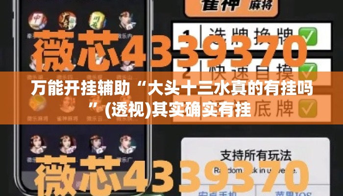 万能开挂辅助“大头十三水真的有挂吗	”(透视)其实确实有挂 