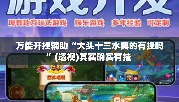 万能开挂辅助“大头十三水真的有挂吗”(透视)其实确实有挂 