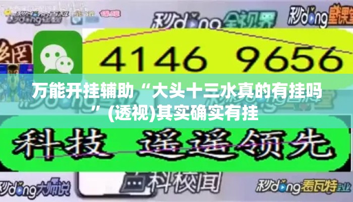 万能开挂辅助“大头十三水真的有挂吗”(透视)其实确实有挂 