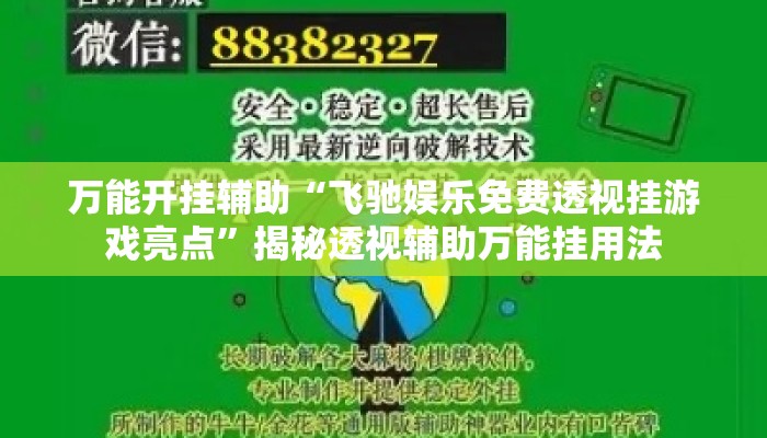 万能开挂辅助“飞驰娱乐免费透视挂游戏亮点”揭秘透视辅助万能挂用法