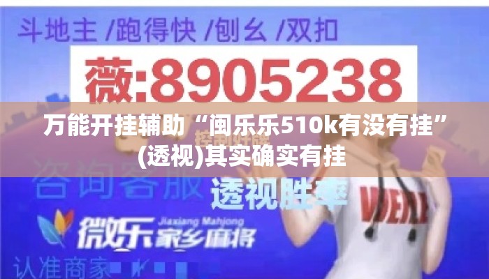 万能开挂辅助“闽乐乐510k有没有挂”(透视)其实确实有挂 