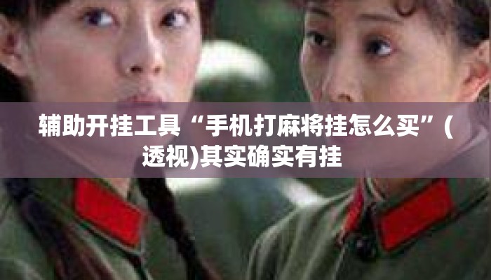辅助开挂工具“手机打麻将挂怎么买	”(透视)其实确实有挂 