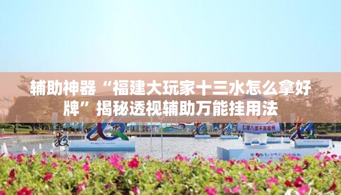 辅助神器“福建大玩家十三水怎么拿好牌”揭秘透视辅助万能挂用法