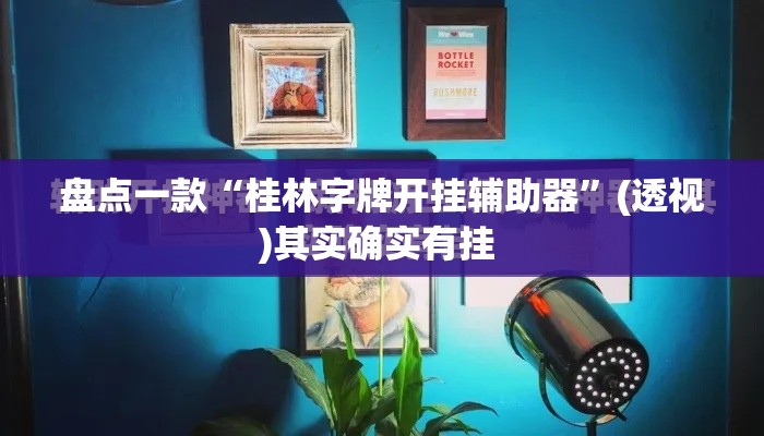 盘点一款“桂林字牌开挂辅助器”(透视)其实确实有挂 
