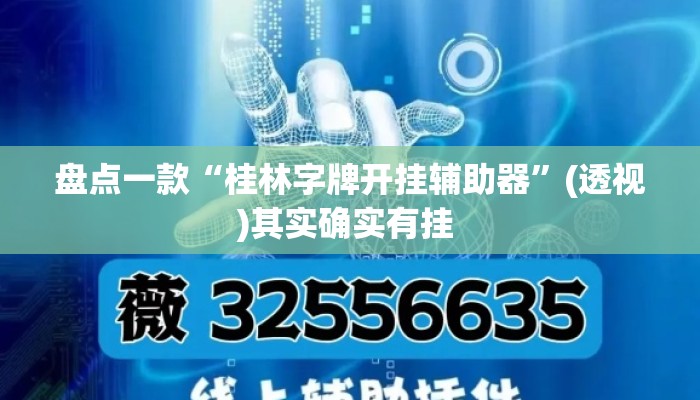 盘点一款“桂林字牌开挂辅助器	”(透视)其实确实有挂 