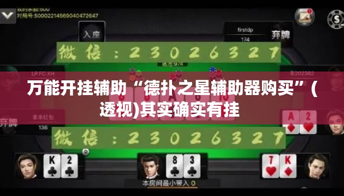 万能开挂辅助“德扑之星辅助器购买”(透视)其实确实有挂 