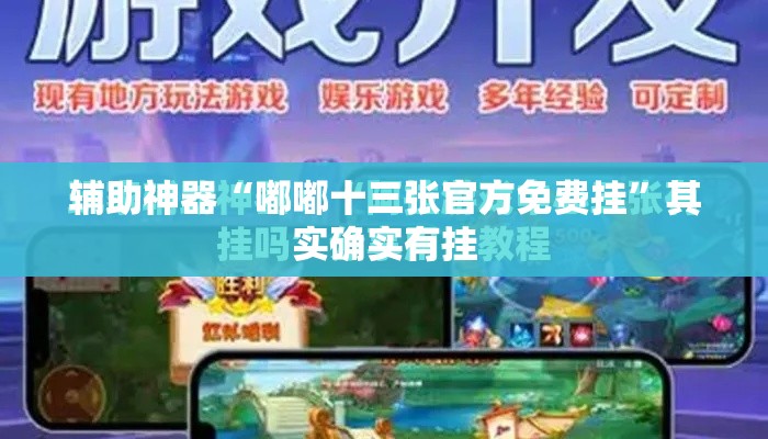 辅助神器“嘟嘟十三张官方免费挂”其实确实有挂