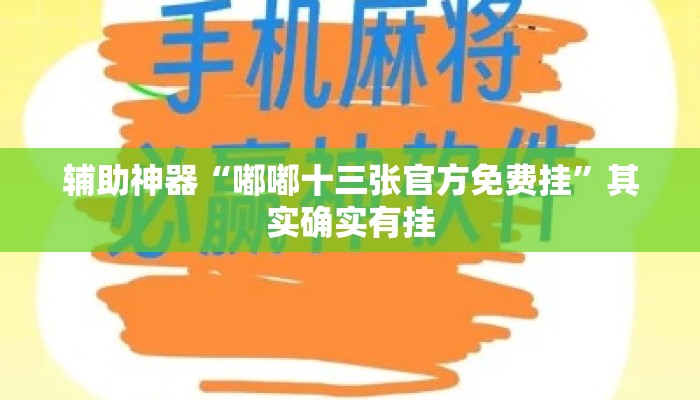 辅助神器“嘟嘟十三张官方免费挂”其实确实有挂