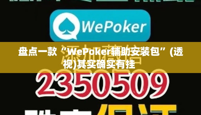 盘点一款“WePoker辅助安装包	”(透视)其实确实有挂 