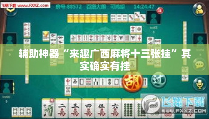 辅助神器“来趣广西麻将十三张挂”其实确实有挂
