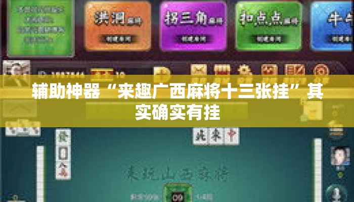 辅助神器“来趣广西麻将十三张挂	”其实确实有挂