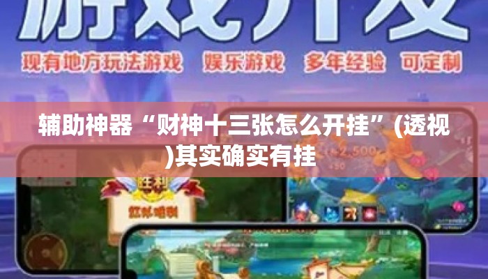 辅助神器“财神十三张怎么开挂	”(透视)其实确实有挂 
