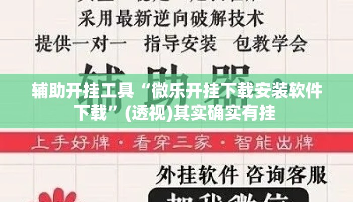 辅助开挂工具“微乐开挂下载安装软件下载”(透视)其实确实有挂 