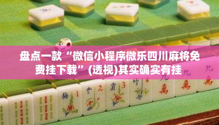 盘点一款“微信小程序微乐四川麻将免费挂下载”(透视)其实确实有挂 