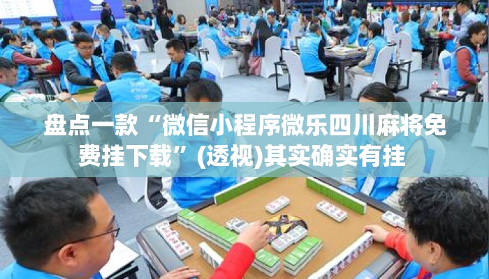 盘点一款“微信小程序微乐四川麻将免费挂下载”(透视)其实确实有挂 