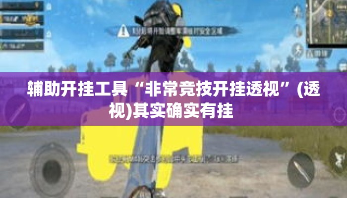 辅助开挂工具“非常竞技开挂透视	”(透视)其实确实有挂 