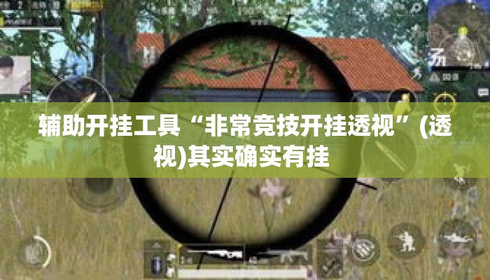 辅助开挂工具“非常竞技开挂透视	”(透视)其实确实有挂 