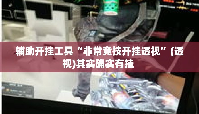 辅助开挂工具“非常竞技开挂透视”(透视)其实确实有挂 