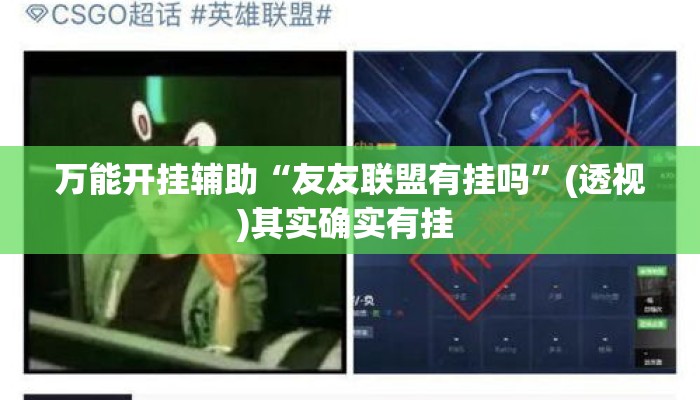 万能开挂辅助“友友联盟有挂吗”(透视)其实确实有挂 