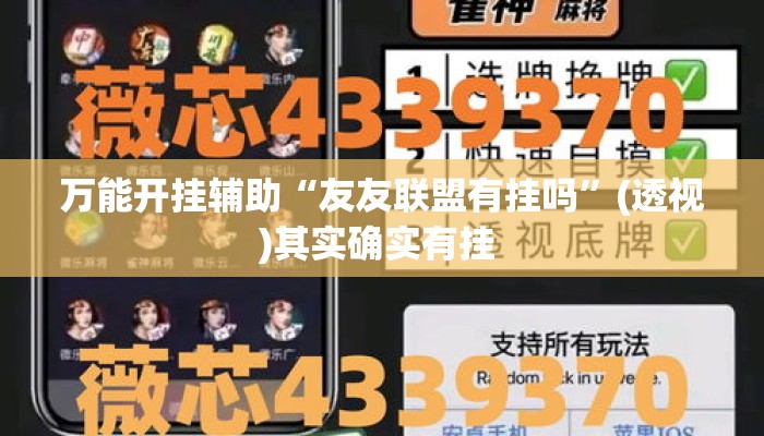 万能开挂辅助“友友联盟有挂吗”(透视)其实确实有挂 