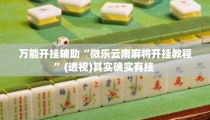 万能开挂辅助“微乐云南麻将开挂教程”(透视)其实确实有挂 