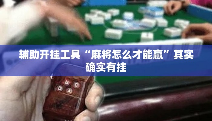 辅助开挂工具“麻将怎么才能赢”其实确实有挂