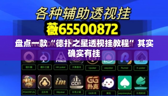 盘点一款“德扑之星透视挂教程	”其实确实有挂