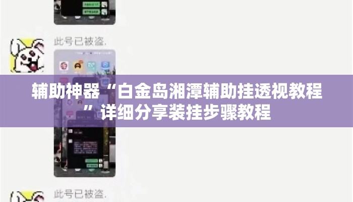 辅助神器“白金岛湘潭辅助挂透视教程	”详细分享装挂步骤教程