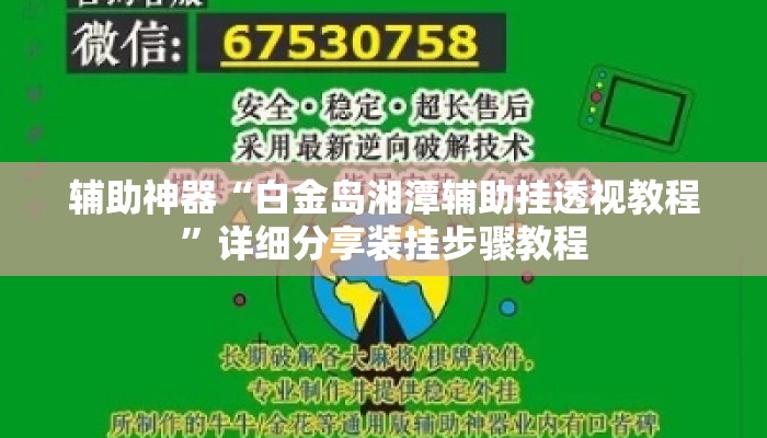 辅助神器“白金岛湘潭辅助挂透视教程”详细分享装挂步骤教程