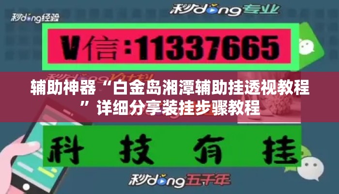 辅助神器“白金岛湘潭辅助挂透视教程”详细分享装挂步骤教程