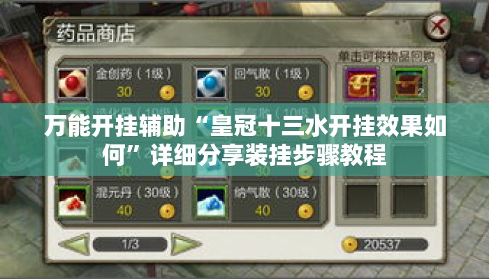 万能开挂辅助“皇冠十三水开挂效果如何	”详细分享装挂步骤教程