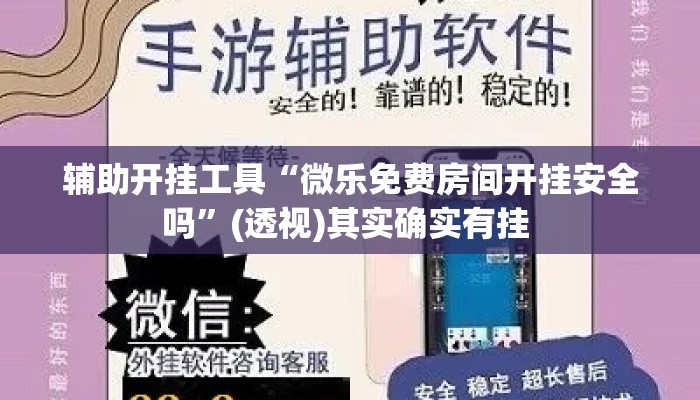 辅助开挂工具“微乐免费房间开挂安全吗”(透视)其实确实有挂 
