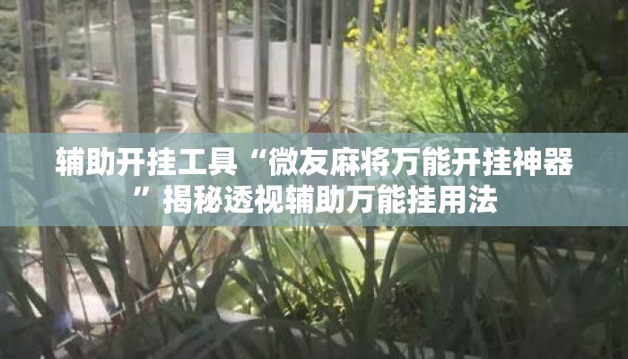 辅助开挂工具“微友麻将万能开挂神器”揭秘透视辅助万能挂用法