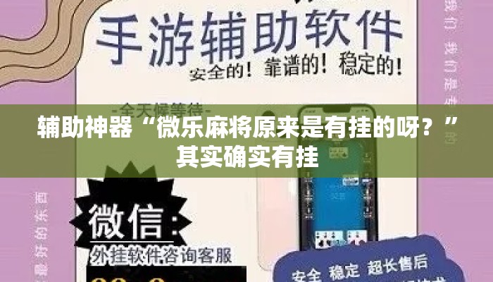 辅助神器“微乐麻将原来是有挂的呀？”其实确实有挂