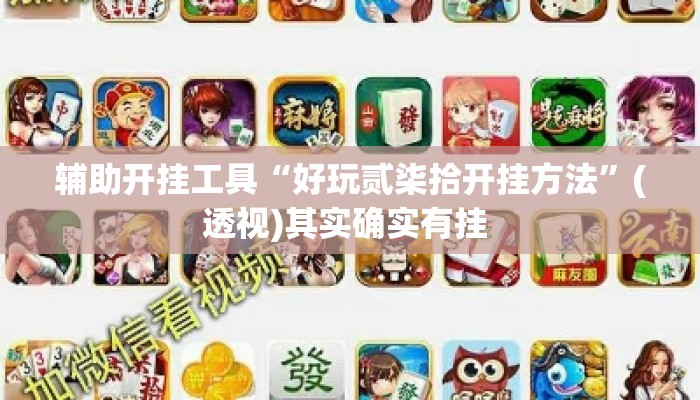 辅助开挂工具“好玩贰柒拾开挂方法”(透视)其实确实有挂 