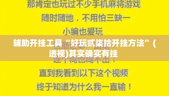 辅助开挂工具“好玩贰柒拾开挂方法”(透视)其实确实有挂 