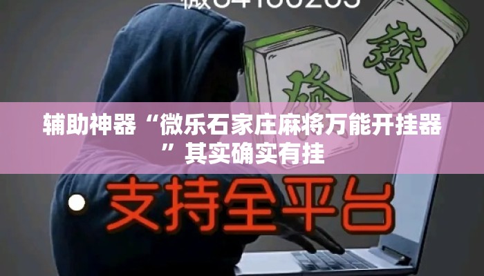 辅助神器“微乐石家庄麻将万能开挂器”其实确实有挂