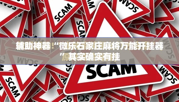 辅助神器“微乐石家庄麻将万能开挂器”其实确实有挂