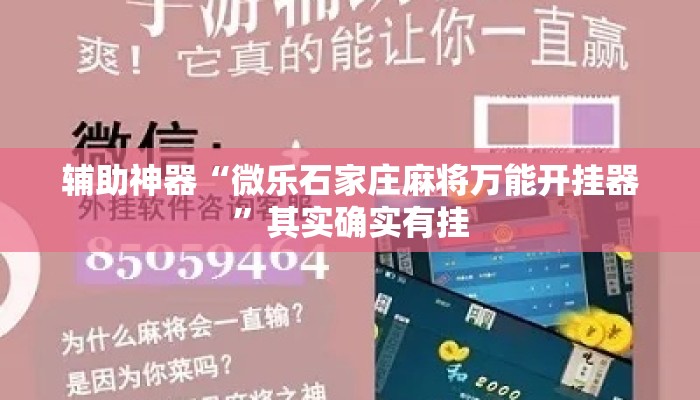辅助神器“微乐石家庄麻将万能开挂器”其实确实有挂