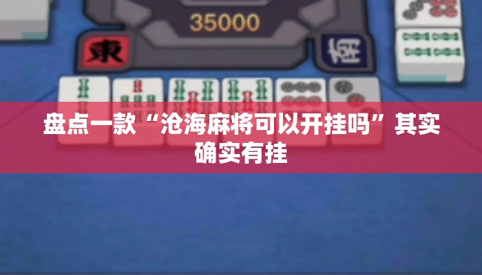 盘点一款“沧海麻将可以开挂吗”其实确实有挂
