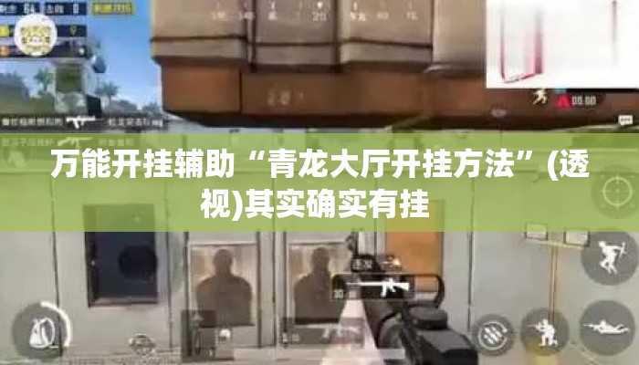 万能开挂辅助“青龙大厅开挂方法”(透视)其实确实有挂 